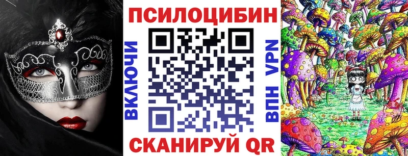 Купить где  Кизляр  Галлюциногенные грибы GOLDEN TEACHER 